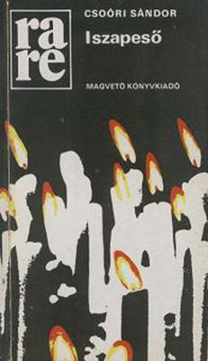 Iszapeső (1981)