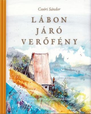 Lábon járó verőfény (2025)