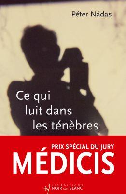 Ce qui luit dans les ténèbres (2025)