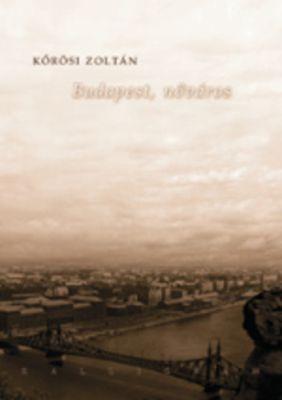 Budapest, nőváros (2004)
