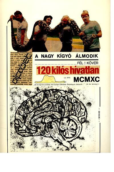 A nagy kígyó álmodik – 1990, kollázs