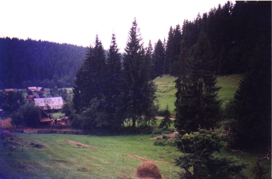 Sikaszón, 2002 augusztus