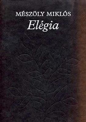 Elégia (1991)