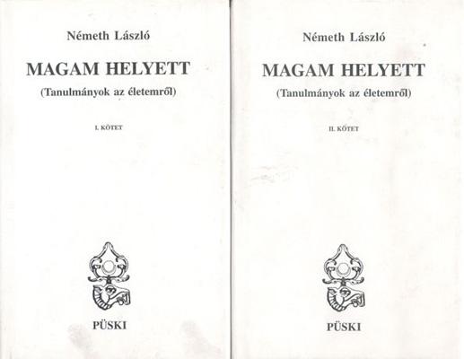 Magam helyett (2002)