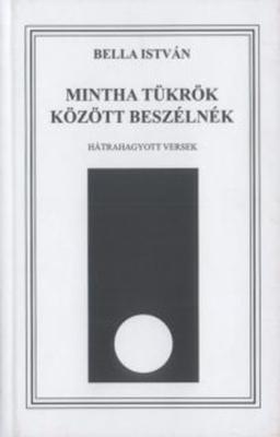 Mintha tükrök között beszélnék (2008)