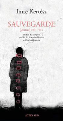 Sauvegarde. Journal 2001-2003 (2012)