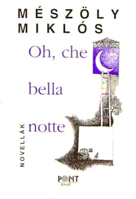 Oh, che bella notte (1996)