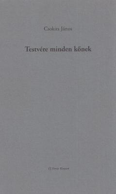 Testvére minden kőnek (2005)