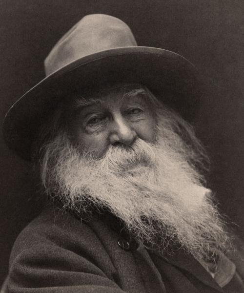 Walt Whitman (Forrás: Wikipedia)